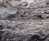 Продать Земельные участки, земля Ладога-1 СНТ  105 