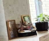 Продать Квартиры вторичка Жуковский, улица Гудкова, 20   