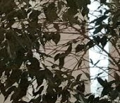 Продать Квартиры вторичка улица Чайковского, 24   