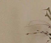 Сдать в аренду Квартиры вторичка улица Саларьевская, 16к5   