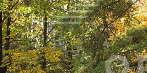 1-комн квартира Новороссийская улица, 8К2