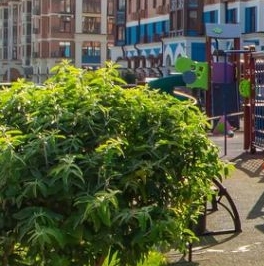 Продажа 2-комн квартиры на вторичном рынке с. Николо-Урюпино, улица Полковника Глазунова, 15