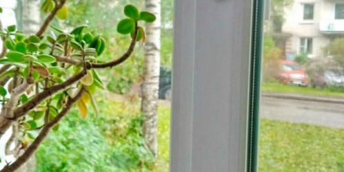 2-комн квартира Стрельна г., Гоголя ул. ,  д. 7