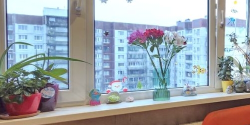 2-комн квартира Суздальский проспект, 3К2