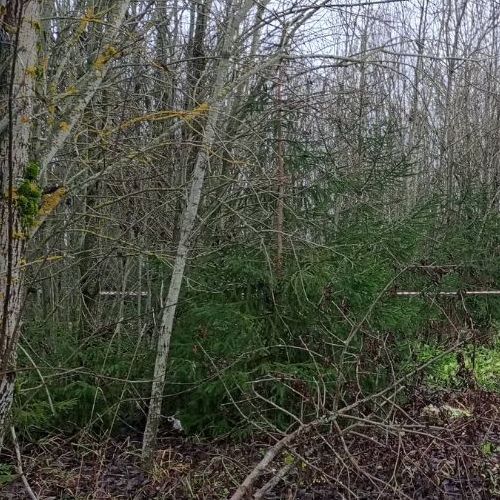 Земельный участок д. Калитино, улица Новодеревенская