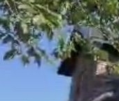 Продать Дачи, коттеджи, загородные дома Ломоносов, Балтийская улица   