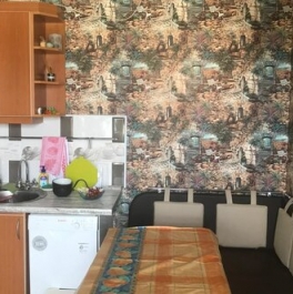 Продажа 1-комн квартиры на вторичном рынке улица Савушкина