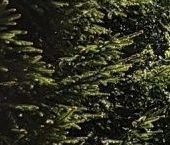 Продать Земельные участки, земля д. Лесколово, улица Лесная   
