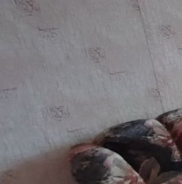 Продажа комнаты Выборг, проспект Ленина, 20А Продажа комнаты Выборг, проспект Ленина, 20А