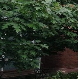 Аренда 3-комн квартиры на вторичном рынке Заречье пгт, улица Тихая, 26к4 Аренда 3-комн квартиры на вторичном рынке Заречье пгт, улица Тихая, 26к4