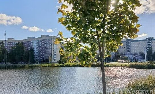 Продажа 2-комн квартиры на вторичном рынке проспект Королёва,  д. 44 к1