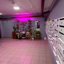 Продажа 1-комн квартиры на вторичном рынке Ногинск г, Аэроклубная ул,  д. 17 к3
