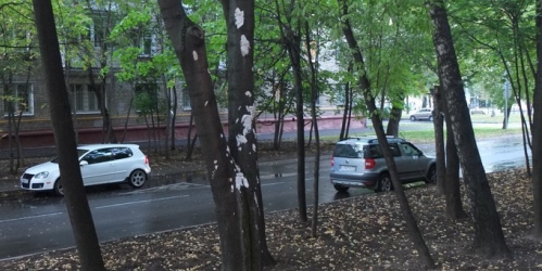 1-комн квартира Парусный проезд ,  д. 1