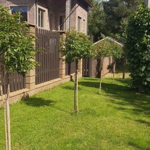 Коттедж/дом пос. Стрельна, Заводская улица, 37