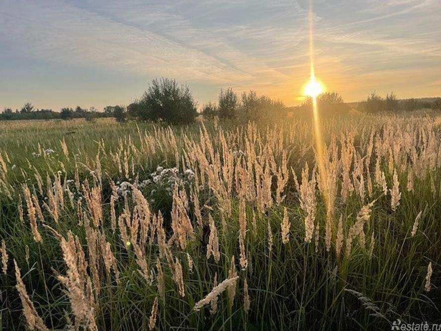 Продажа земли деревня Аргуново