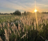 Продать Земельные участки, земля деревня Аргуново   