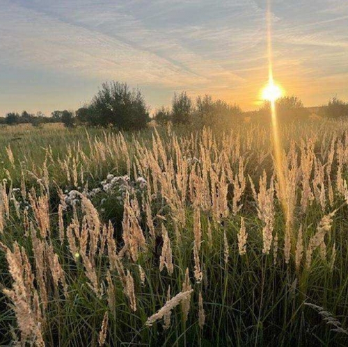 Земельный участок деревня Аргуново