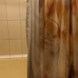 Продажа 2-комн квартиры на вторичном рынке 8-я линия,  д. 75