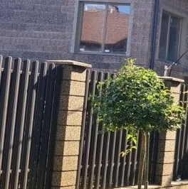 Продажа дома пос. Стрельна, Заводская улица, 37 Продажа дома пос. Стрельна, Заводская улица, 37