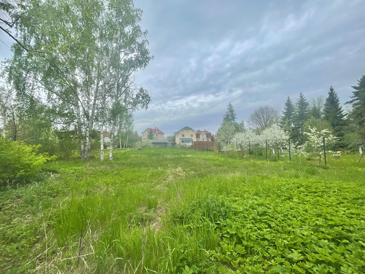 Продажа земли Петергоф, Александровская ул., 6