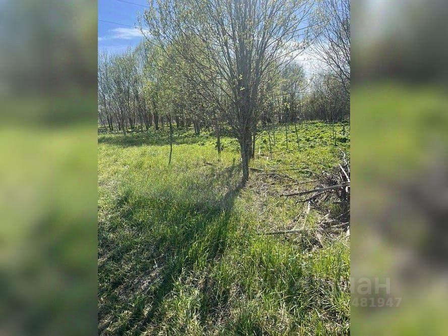 Продажа земли Большая Вруда д,  д. 3