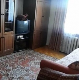 Продажа 2-комн квартиры на вторичном рынке Пушкинский городской округ, улица Дзержинского,  д. 2