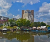 Сдать в аренду Офисы Химки г, Панфилова ул  19/1 