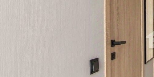 Студия Заневский проспект, 65