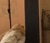 Продать Квартиры вторичка Московский проспект, 151   