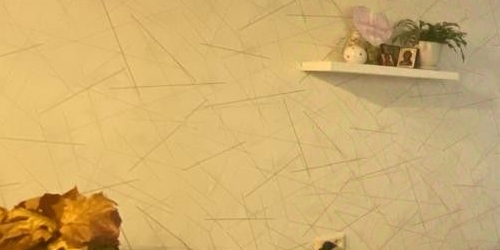 1-комн квартира улица Евдокима Огнева, 4К1