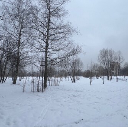 1-комн квартира ул Димитрова,  д. 6,  к. 2