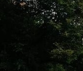 Продать Квартиры вторичка 3-й Лихачевский переулок, 5   