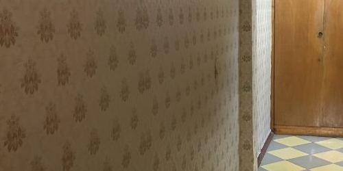 2-комн квартира Полюстровский проспект, 33к1