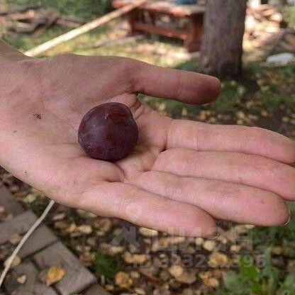 Продажа дома Мяглово-Карьер садоводческий массив, Уткина заводь СНТ, 9-я линия,  д. 269