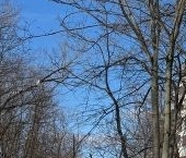 Продать Квартиры вторичка Уральская улица, 6К1   