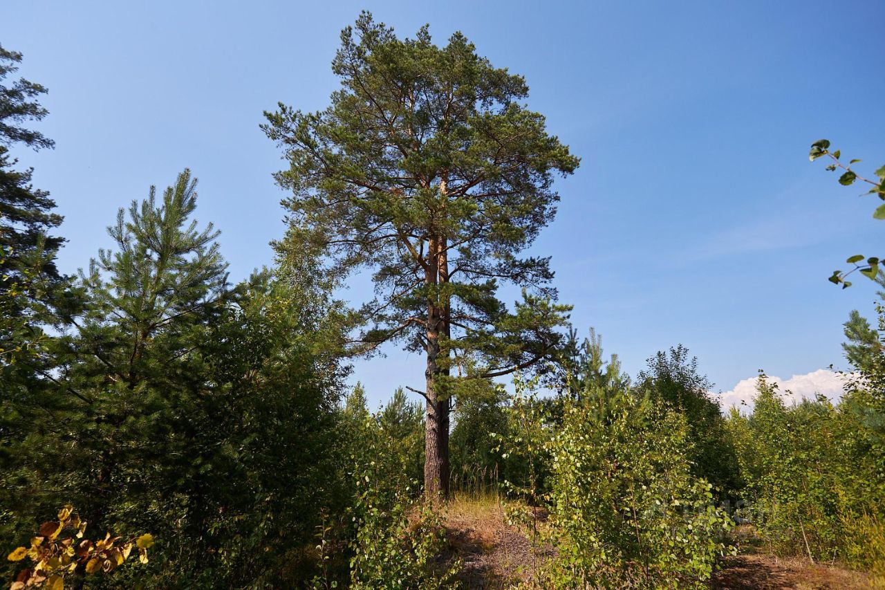 Продажа земли Ленинское кп, пос. Ленинское