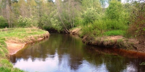 Земельный участок Ленинское п, Заречная ул