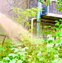 Продажа 1-комн квартиры на вторичном рынке пос. Парголово, Кооперативная улица, 8 Продажа 1-комн квартиры на вторичном рынке пос. Парголово, Кооперативная улица, 8