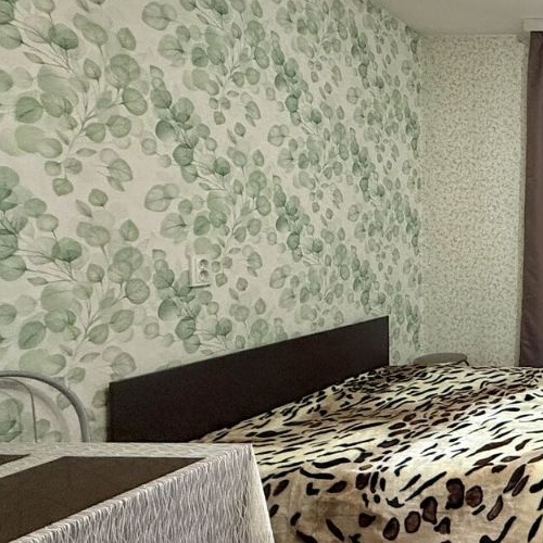 Студия улица Бабушкина, 84к2