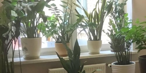 2-комн квартира бульвар Генерала Карбышева, 16