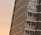 Сдать в аренду Квартиры вторичка Новое Павлино мкр, Балашиха, шоссе Косинское  1 