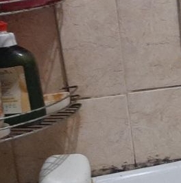 Аренда комнаты улица Тельмана, 36К2