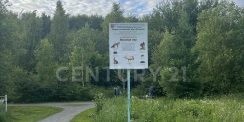 2-комн квартира ул Руднёвка,  д. 21