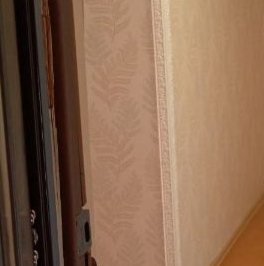 Продажа 1-комн квартиры на вторичном рынке Пушкин, Малиновская улица, 11 Продажа 1-комн квартиры на вторичном рынке Пушкин, Малиновская улица, 11