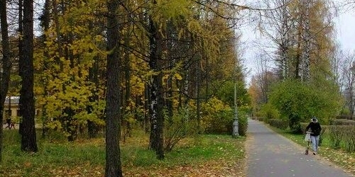 2-комн квартира Политехническая улица, 29к1