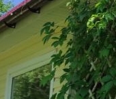 Продать Дачи, коттеджи, загородные дома Мшинская садоводческий массив, Рассвет-2 СНТ  8 