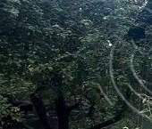 Продать Дачи, коттеджи, загородные дома Волосово, Новая улица, 10   