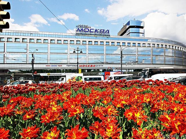 Аренда офиса пл. Александра Невского,  д. 2