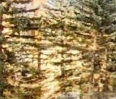 Продать Квартиры вторичка Энгельса пр-кт  31 