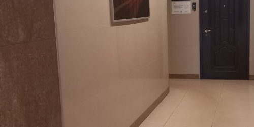 2-комн квартира проспект Тореза, 112к1